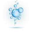 vector bubbles isolated on white