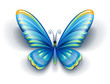 blue butterfly insect with color wings - EPS10 vector