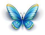 blue butterfly insect with color wings - EPS10 vector