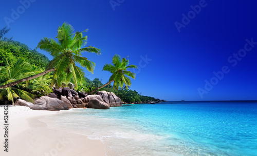 Fototapeta beach at Praslin island, Seychelles