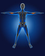 Illustration: 3D medical man with skeleton 3D medical man with skeleton