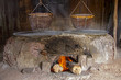 stove use produce salt
