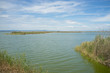La Albufera, Valencia, Spain