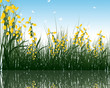 grass with reflections in water