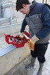 Photo: Construction worker selecting tool Construction worker selecting tool