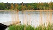 Bootssteg und Schilf am See