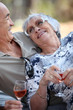 Foto: Elderly drinking wine. Elderly drinking wine.