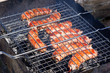 Meat on the grill for a barbecue