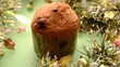 Video: Panettone Panettone