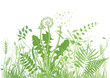 grüne Wiese