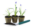 Photo: Three plants and shovel Three plants and shovel