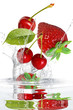 canvas print picture - Obst 409