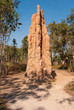 Magnetic termite mounds, Litchfield Natonal Park, Australia