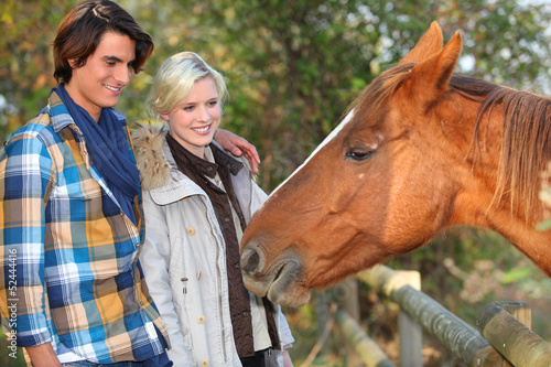 Photo: Meeting a horse Meeting a horse