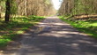 Movement on the way to the wood