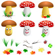 Pilze Set Steinpilz Fliegenpilz