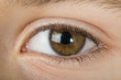 Human eye