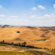 Photo: Country in Tuscany Country in Tuscany