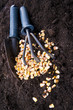 Time Of Sowing