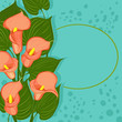 Blue background with red calla flowers