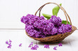 pink lilac in a basket on a white wooden background