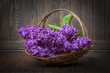 pink lilac and an old wooden background