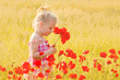 Beautiful little girl with a bouquet of red flowers