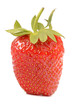 strawberries on a white background