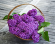 lilac in a basket on an old table