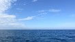 Segelwetter - blauer Himmel - Segeln - Video