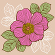 Vektor: Floral background with flowers of peony Floral background with flowers of peony
