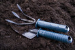 Time Of Sowing