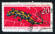 Photo: Fire salamander Fire salamander