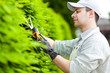 Gardener at work