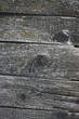 vieux bois gris, noeuds et rugeux