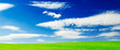 beautiful spring field