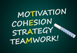 Team: Motivation, Cohesion, Strategy, Teamwork