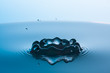 blue fall drop 11