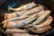 Smelt Fish
