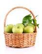Juicy green apples with leaves in basket, isolated on white