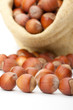 fresh hazelnuts in a bag on white background