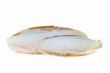 The internal shell or bone of dead cuttlefish