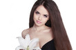 Hair. Beautiful Brunette Girl. Healthy Long Hair. Beauty Model W
