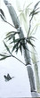 asian bamboo watercolor