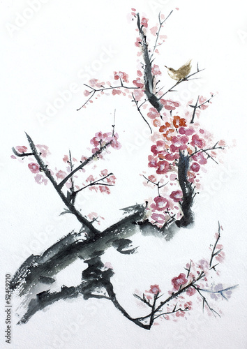 plum tree blossom plum tree blossom