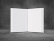 Illustration: blank book blank book