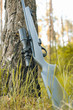 Rifle with telescopic sight