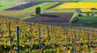 Photo: Swiss Farmland Swiss Farmland