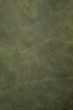 Photo: Green leather texture closeup Green leather texture closeup