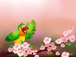 A tree with a colorful parrot